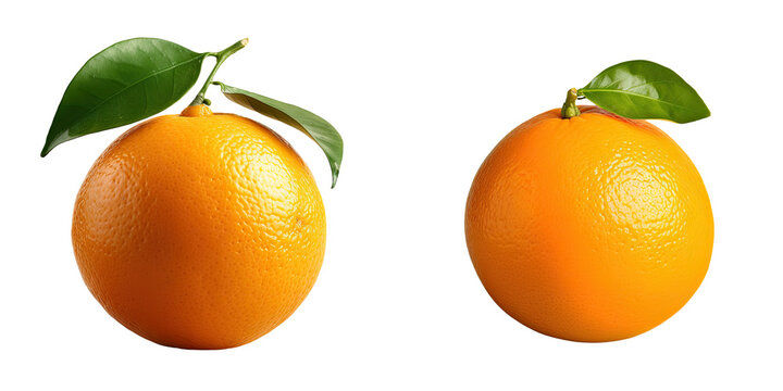 Close up shot of ripe orange fruit against a transparent background