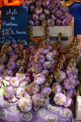 New harvest of fresh organic aromatic violet garlic, english translation: garlic from Piolenc village, Vaucluse, Provence, France