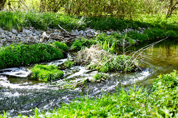 Small rapids of a little river in Erpetal in Berlin-Friedrichshagen