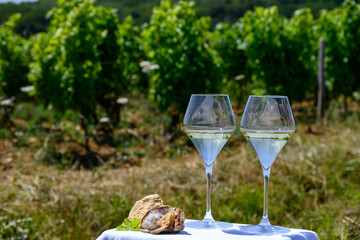 Glasses of white wine from vineyards of Pouilly-Fume appelation and example of flint pebbles soil, near Pouilly-sur-Loire, Burgundy, France