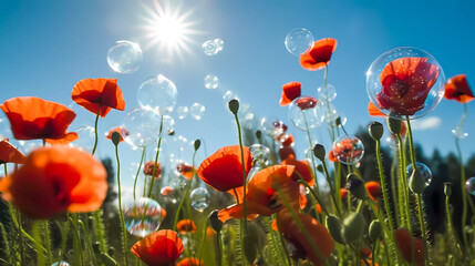 Flowering red poppies with green buds, capsules, and soap bubbles, against the blue sky. Generative AI technology. - obrazy, fototapety, plakaty