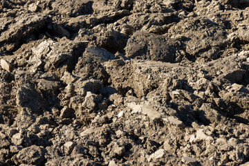 Preparation of soil for sowing plants
