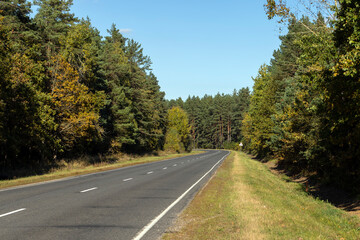 Fototapeta premium Paved road in the autumn season in sunny weather