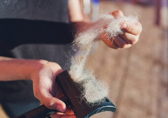 Owner hand holding comb of pet brush with ginger cat fur clump after grooming.