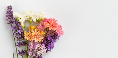 Spring bouquet on a white background. Postcard. Banner