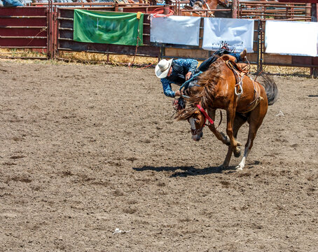 A rodeo cowboy is riding a bucking bronco. He is in an arena with dirt flying from the kicking horse. There is fence railing in the background. The cowboy is wearing a black vest and blue shirt.