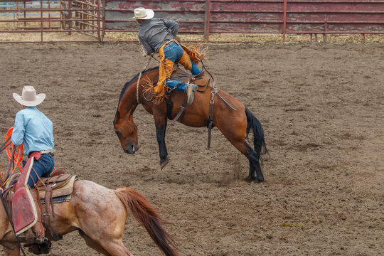 Cowboy riding a bucking bronco in a rodeo. The rider and horse are near the arena's fence. The cowboy is wearing dark grey with a white hat. The horse is brown. Another horse and rider are in front.
