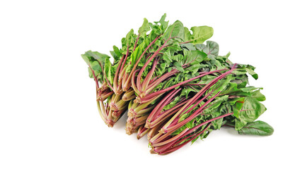 赤軸ほうれん草