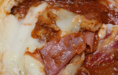 details of bolognese lasagna. lasagna with selective focus. bolognese lasagna with ham.