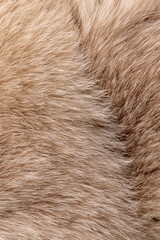part of a fur coat made of natural beige arctic fox fur