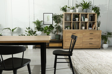 Table with chairs and wooden shelving unit, books and many potted houseplants in stylish room