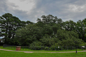 Emancipation Oak, Hampton, Virginia