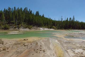 Green Thermal Pools Of Yellowstone Geyser Basin. July 2023.