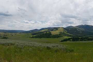 Fototapeta na wymiar Hills And Meadows Of Yellowstone National Park. July 2023.