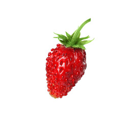 One ripe wild strawberry isolated on white