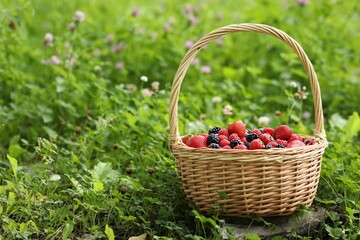 Fototapeta na wymiar Wicker basket with different fresh ripe berries in green grass outdoors, space for text