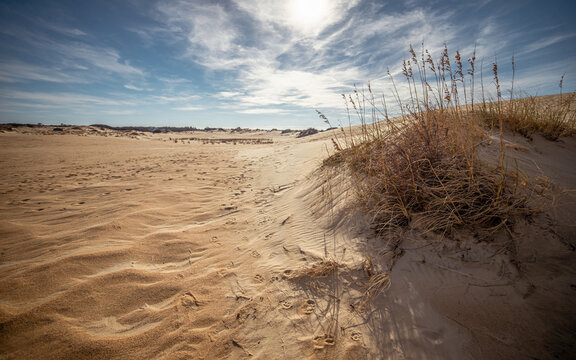 Sand Dunes At Jockey's Ridge State Park | Nags Head (Outer Banks), North Carolina, USA