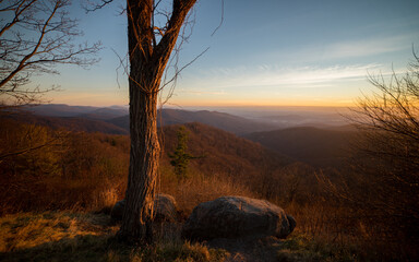 Blue Ridge Mountains sunrise with sunlit bare tree in foreground | Shenandoah National Park, Virginia, USA