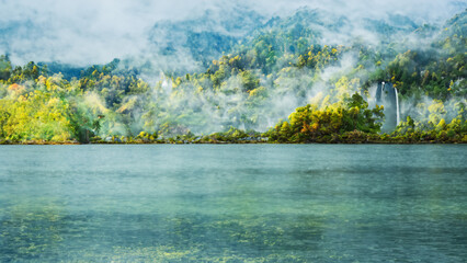 landscape with grass and flowers