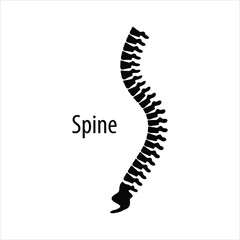 Human spine, anatomy, backbone icon. flat illustration on white background.