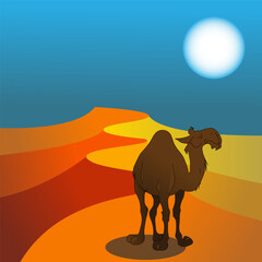 The Camel With The Desert Panorama