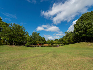 Fototapeta na wymiar 青空と新緑の広がる奈良公園春日野園地の三社託宣池