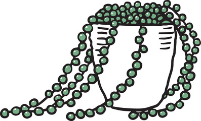 グリーンネックレスの鉢植え単色