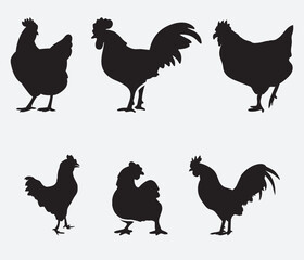isolated black silhouette of a chicken , vector collection	