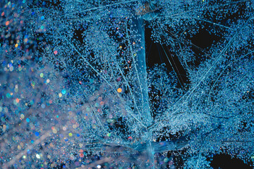 クリスマスのイルミネーション