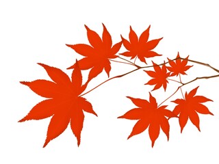 紅葉