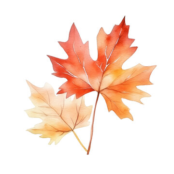 Watercolor autumn leaves and branches, fall leaves illustration transparent background, PNG. Generative AI.
