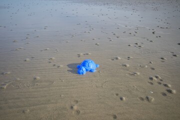 Blue turtle sand toy and the beach