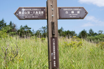 さわやかな高原に広がる草原　高原の夏景色