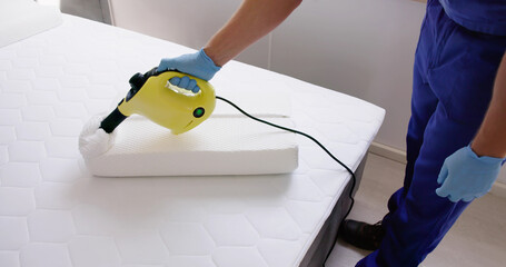 Bed Bug Pillow Pest Control Cleaning