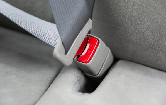 Secure seat belt, Symbol of safety and accident prevention. Emphasizes cautious driving, shielding lives on the road. Vital for driver and passenger
