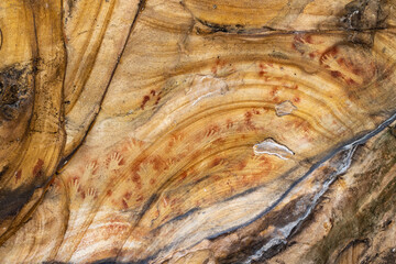 Australian Aboriginal hand stencils in a sandstone cave, Sydney region.