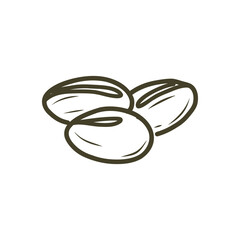 Roasted coffee bean, Hand drawn coffee vector color illustration