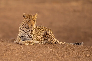 BOTSWANA - MASHATU trip