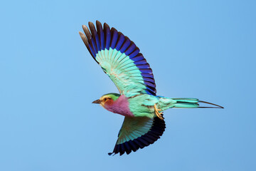 BOTSWANA - MASHATU trip