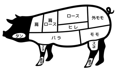豚肉の部位（畜産） - obrazy, fototapety, plakaty