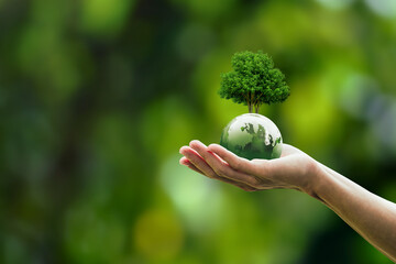 Global sustainable environment concept - ESG, net zero, eco, co2, carbon, human hand holding green...