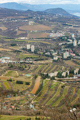 Fototapeta na wymiar City within a city, summer. View from above.