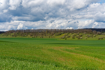 Die Schlechtsarter Schweiz bei Gombertshausen, Stadt Heldburg, Landkreis Hildburghausen, Thüringen, Deutschland