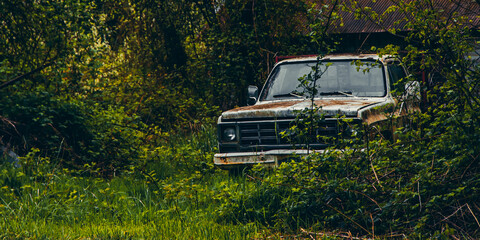 old pick up in the woods