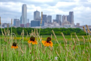 Springtime Serenity: 4K Image of Dallas, Texas, Viewed from the Tranquil Trinity River
