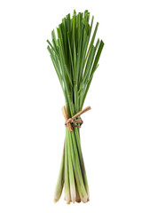 fresh lemongrass isolated on a white background.
