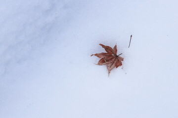 snow
