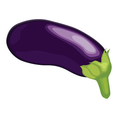 Vector illustration of single eggplant vegetable cartoon flat style. Eggplant isolated on white background. Organic natural food concept designed in purple of violet color. Solanum melongena vegetable