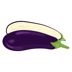 Vector illustration eggplant slice vegetable in cartoon flat style. Aubergine purple fresh, plant food, organic healthy, agriculture brinjal garden. Raw violet eggplant sliced in white background.