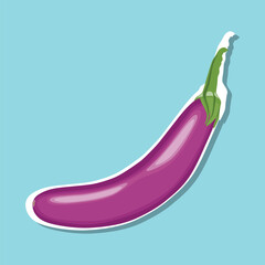 Vector illustration eggplant vegetable sticker in cartoon flat style. Aubergine purple fresh, plant food, organic healthy, agriculture brinjal garden. Raw violet eggplant sliced in white background.